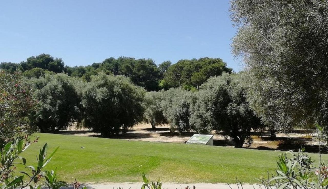 Casa Joleen 2 Villamartin  Bagian luar foto